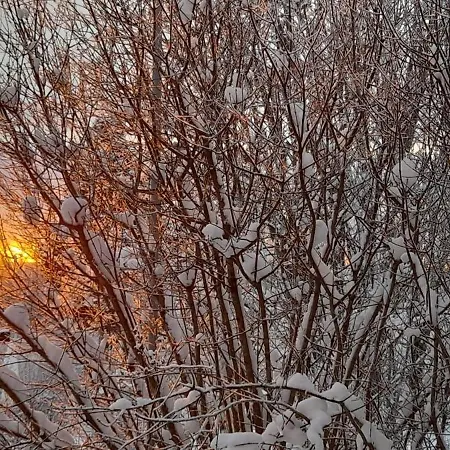 Apartamento Ihana Rivitalohuoneisto Tarjolla