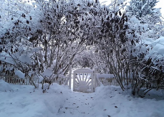 Ihana Rivitalohuoneisto Tarjolla *